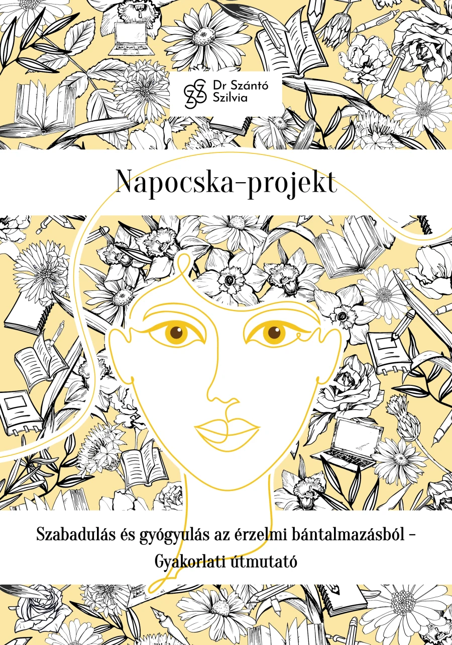 A Napocska-projekt című könyv borítója