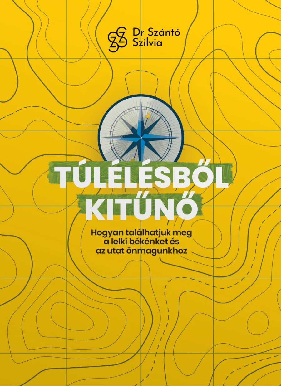 A Túlélésből kitűnő című könyv borítója